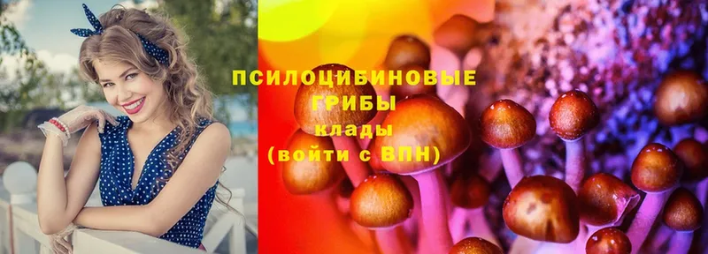 Галлюциногенные грибы мицелий Кизляр